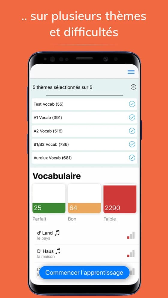 Choix des thèmes de vocabulaire dans l'application Wuertschatz